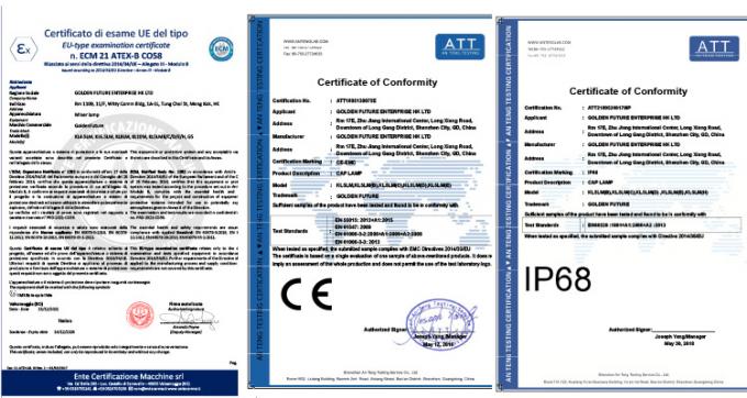 Φωτοβολταϊκό ορυκτού LED υψηλής έντασης 20000Lux για υπόγεια χρήση 5
